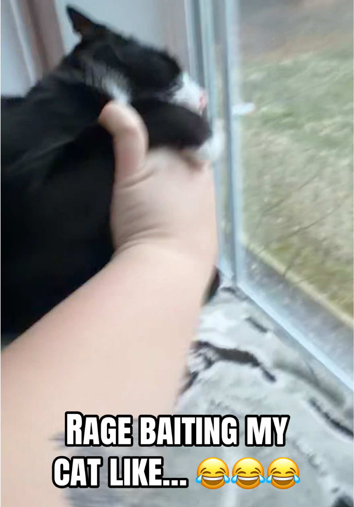 @unhingedprofessormom