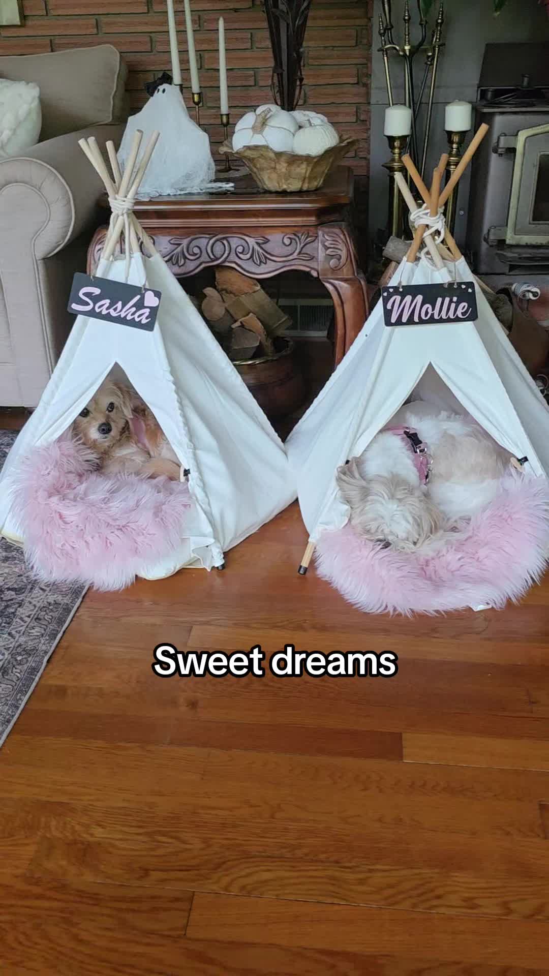 @Little Miss Mollie