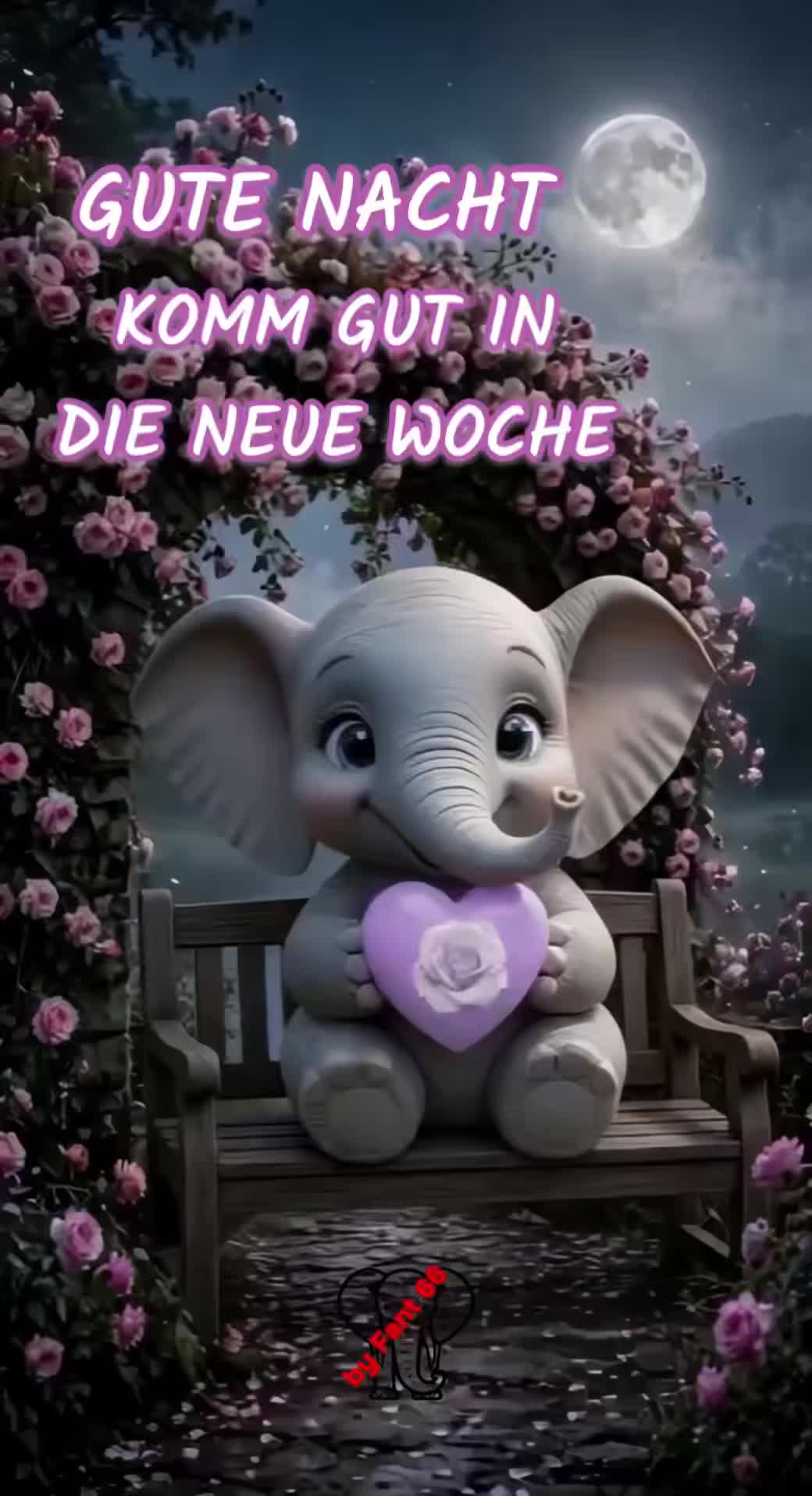 @Fant 🐘 66