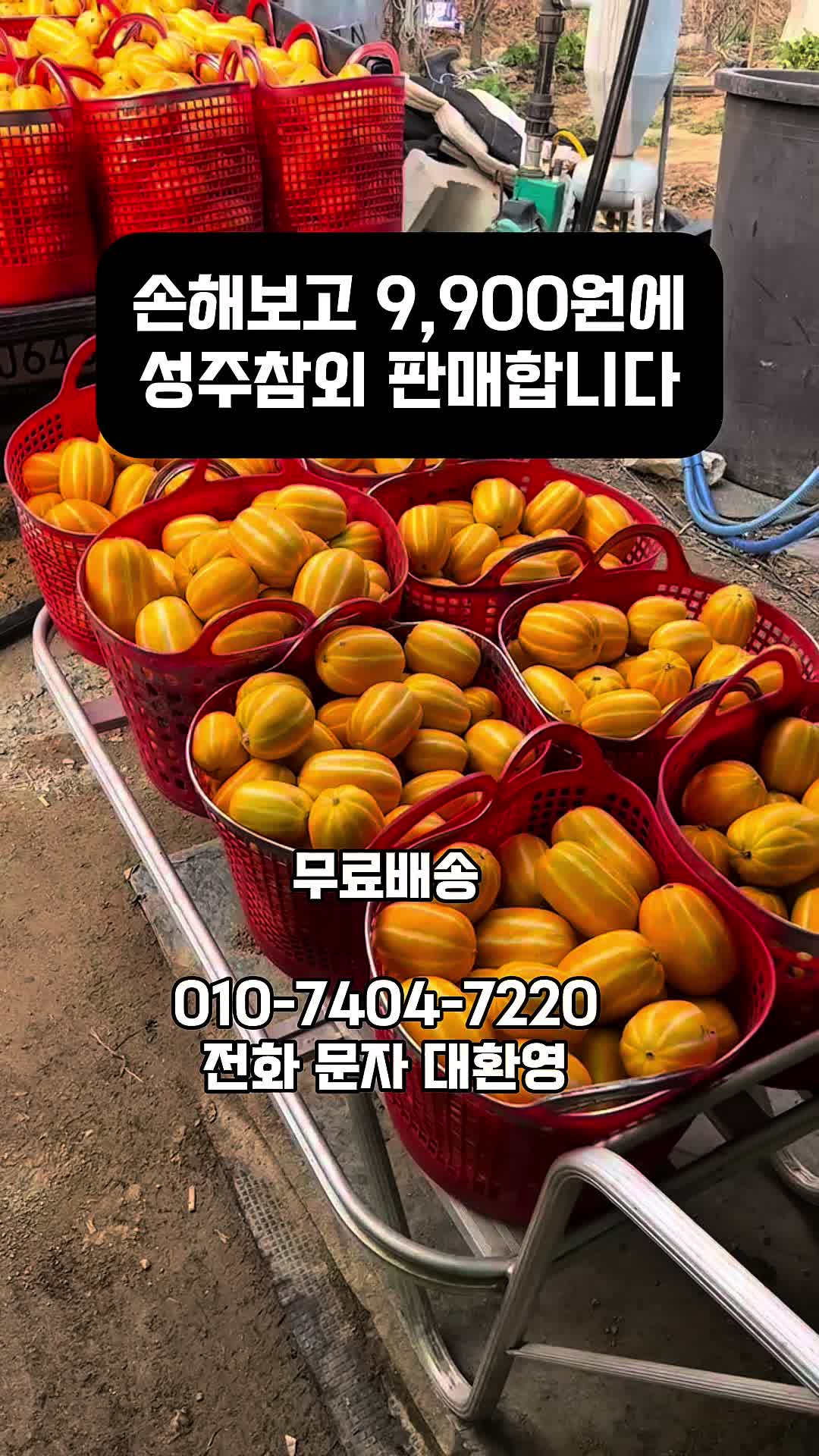 @프루트빌리지