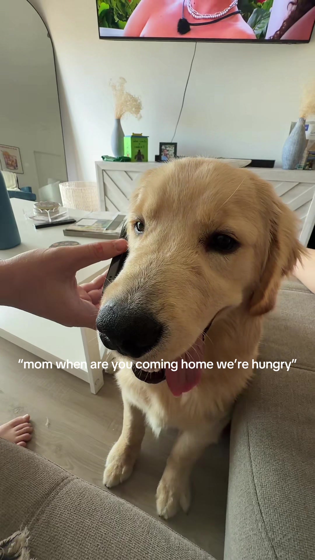 @Luca the Golden