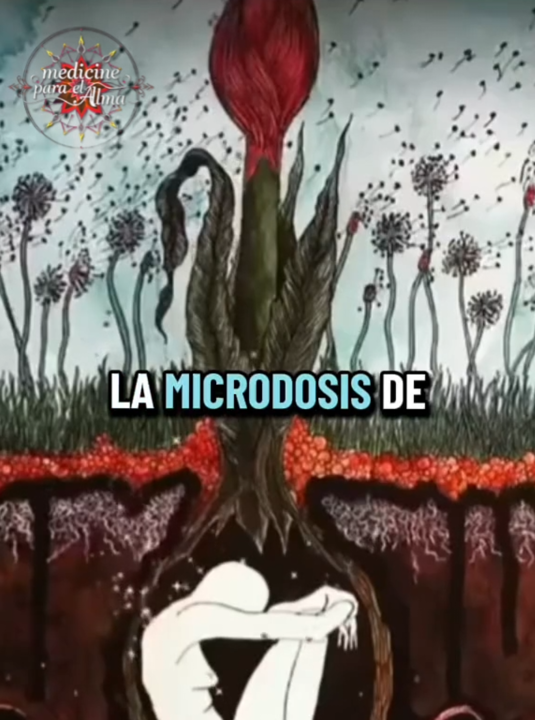 @Medicina para el alma✨