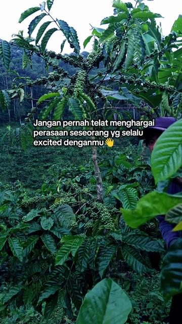 @PetaniMuda