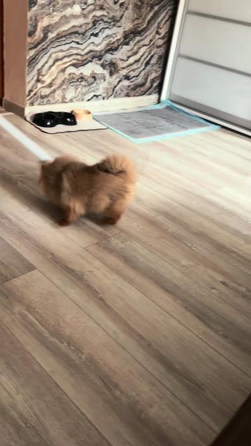 @D.🩶
