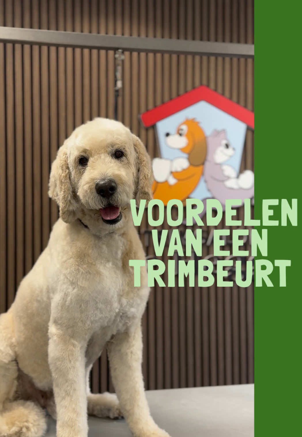 @HuisdierenhotelDeHeggeWeert