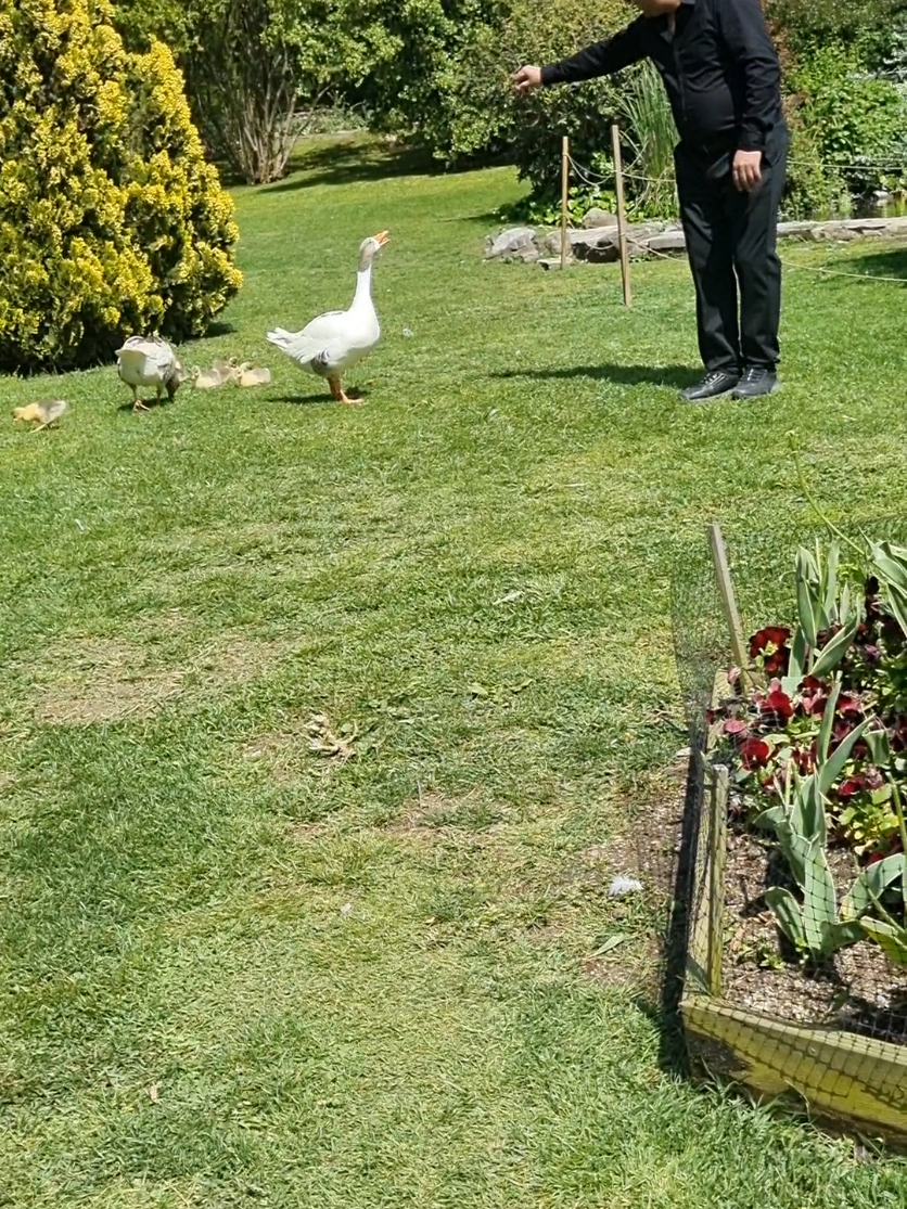 @İLLEDE SEN
