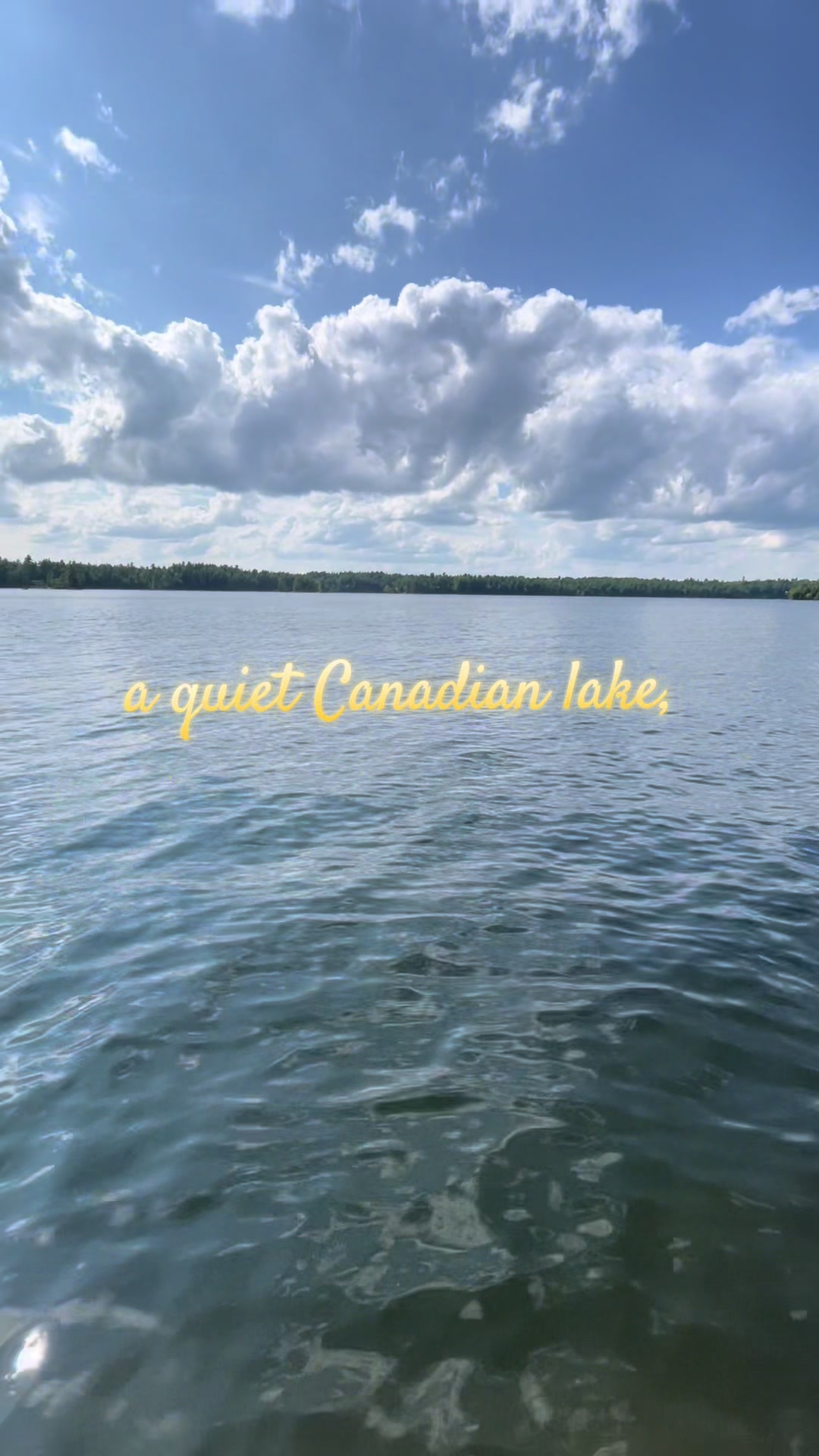 @Elyse with the Dogs 🇨🇦