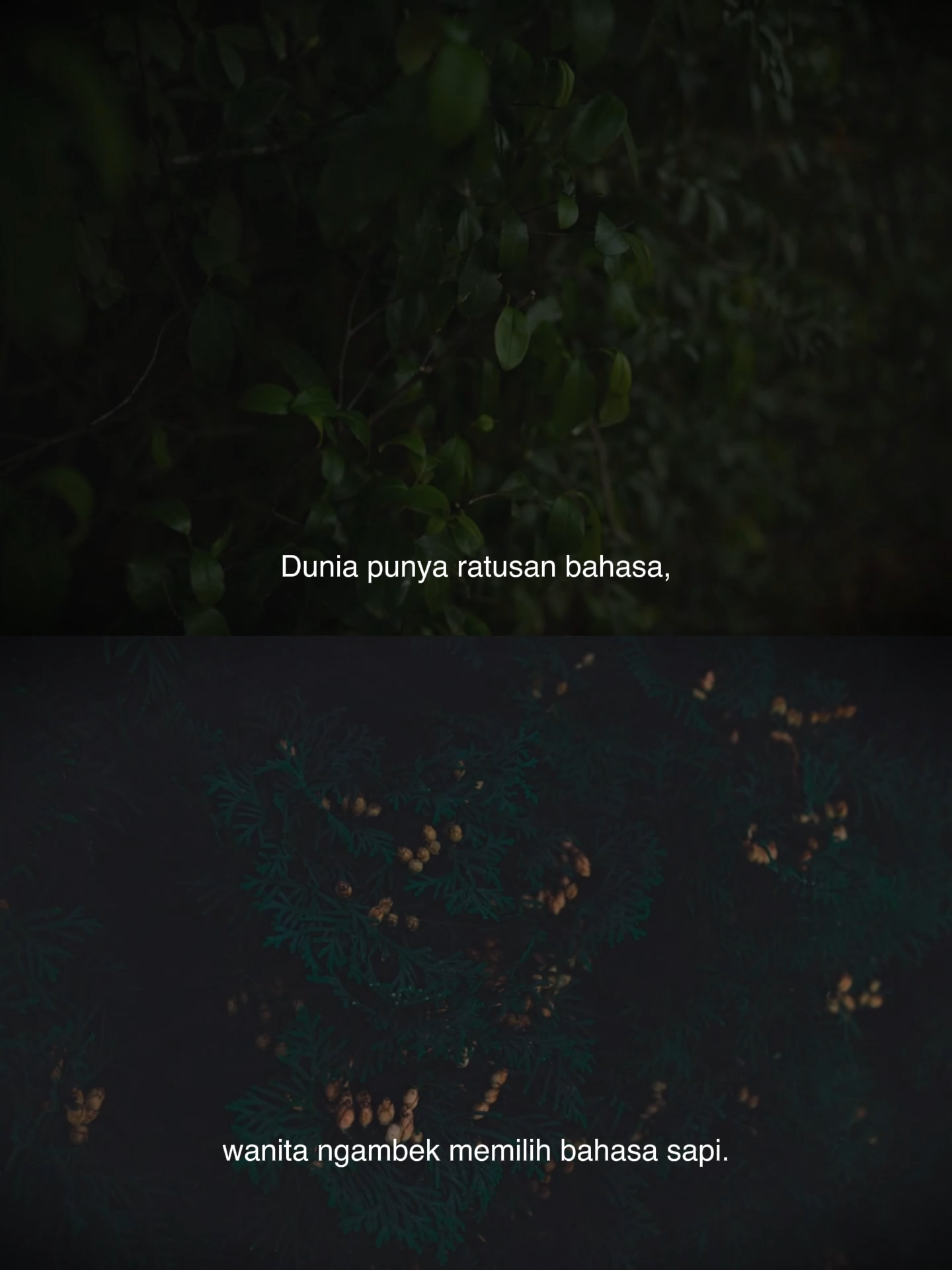 @Yang Terdalam