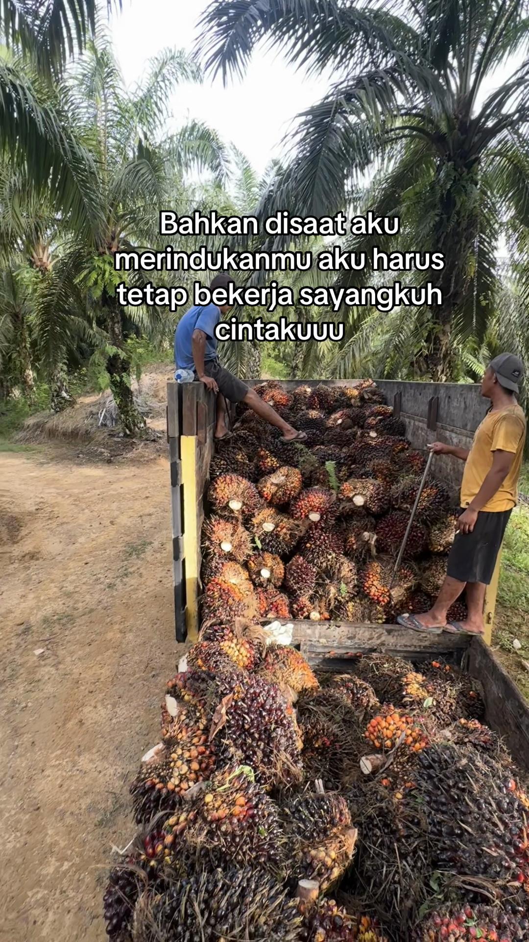 @Rizat_Fahroni