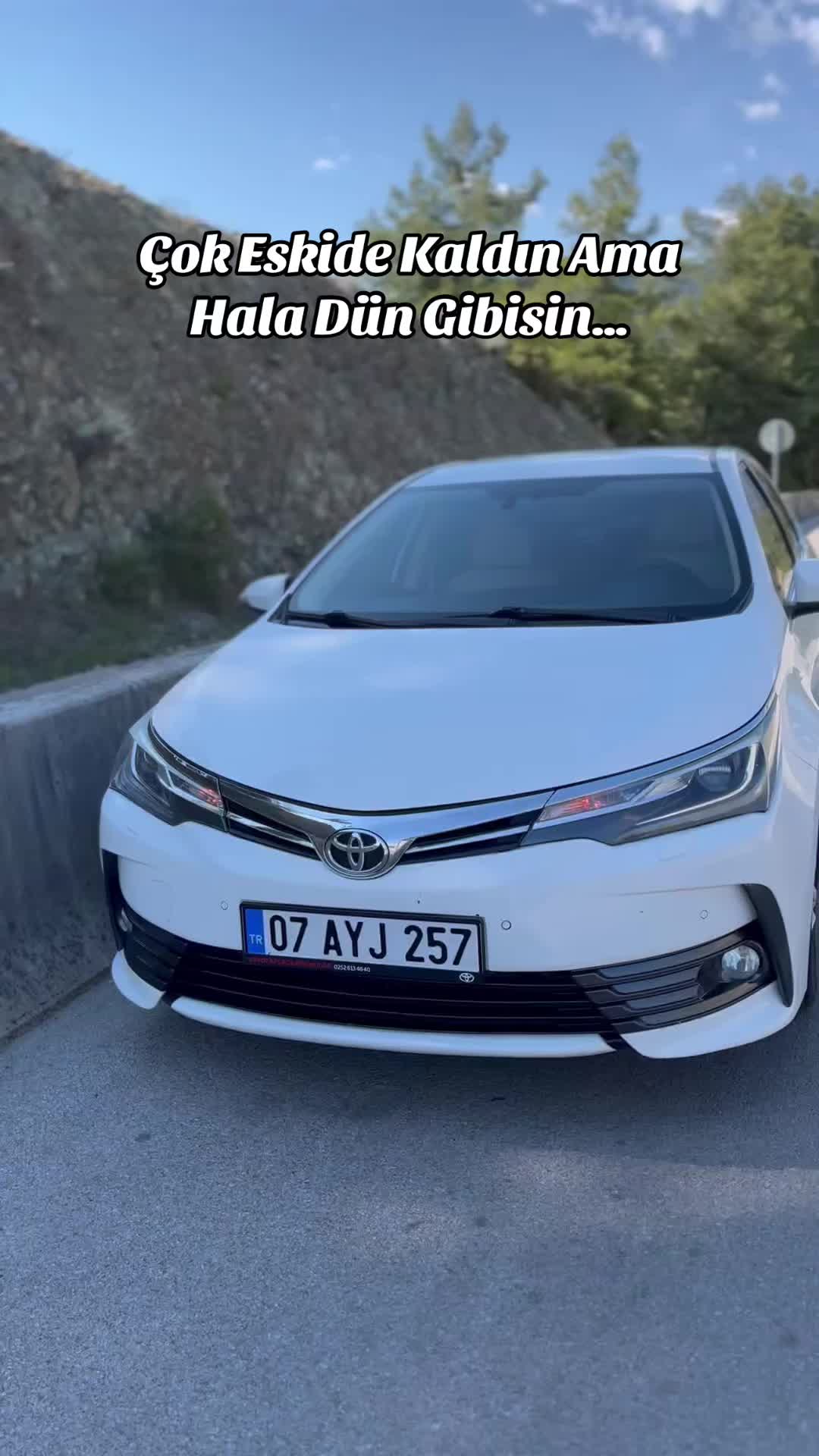 @Mehmet Okşak