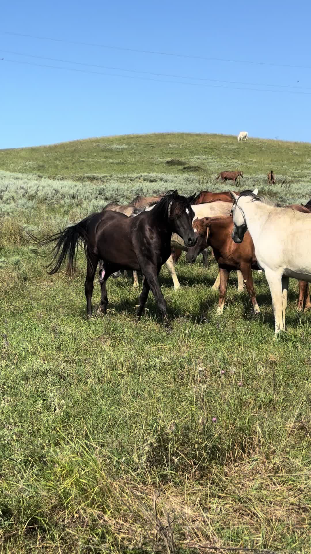 @MakvinStud