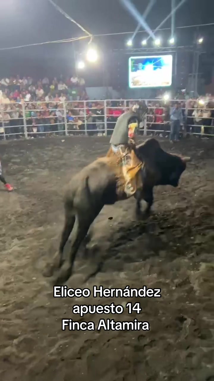 @Darwin Alvarez Dutton