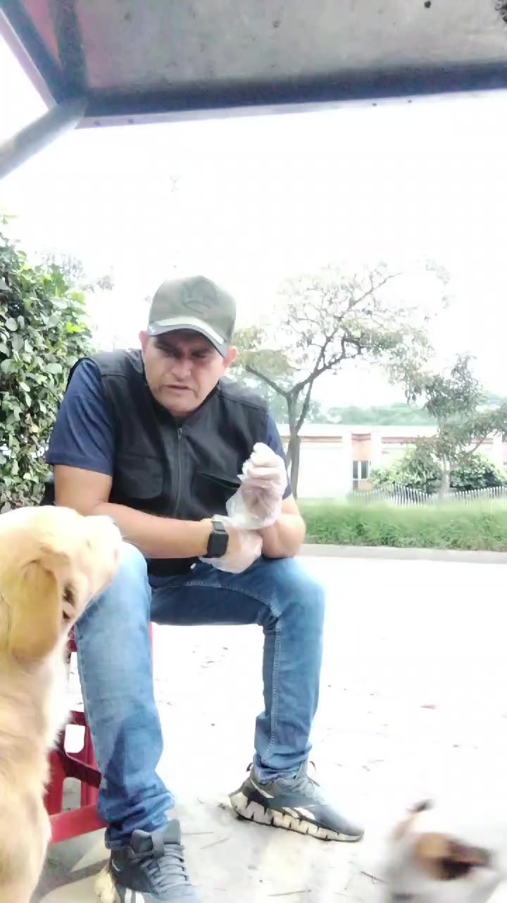 @german29a
