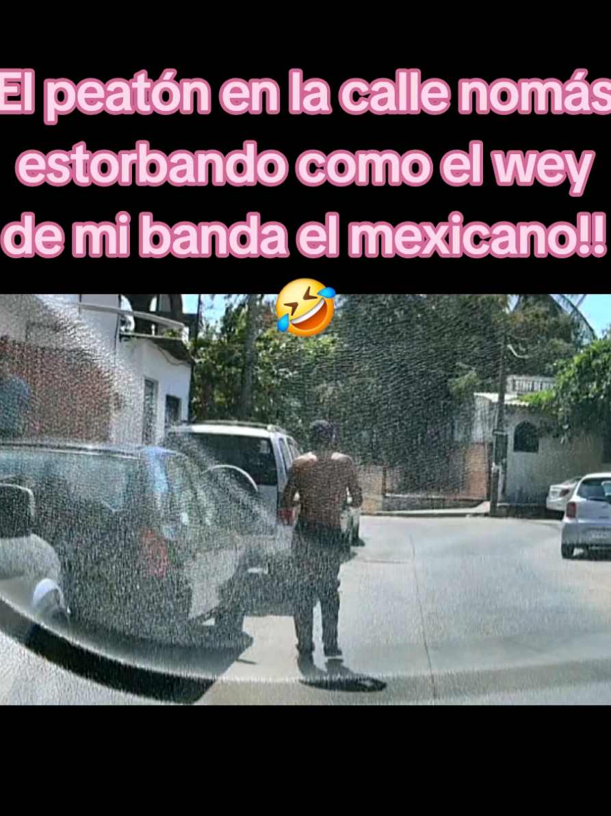 @Osiris Suarez "La Osita"