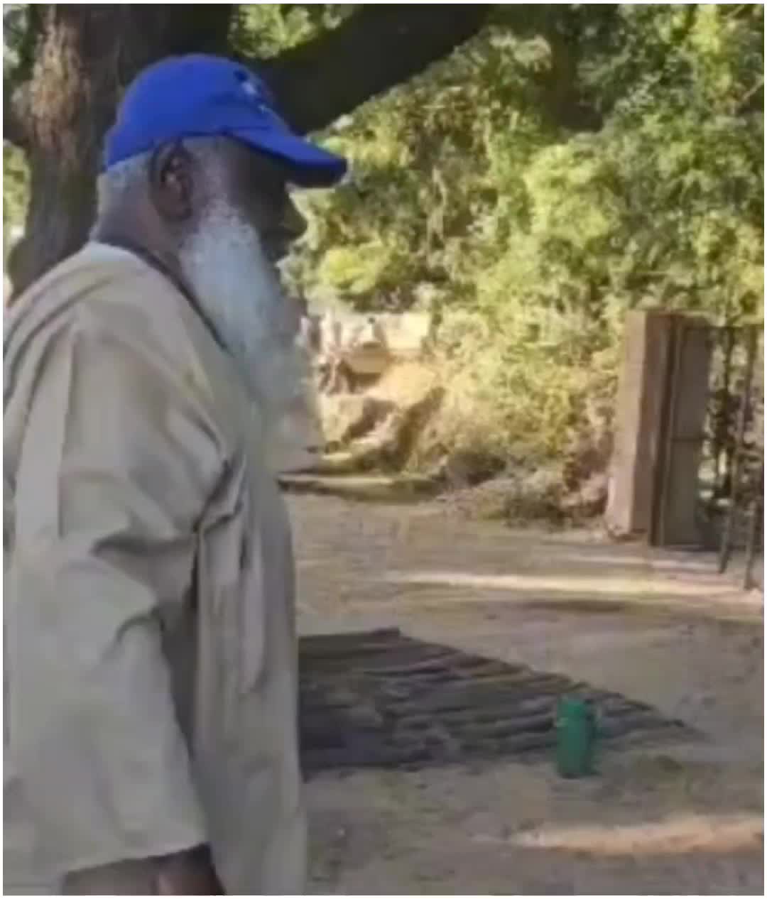 @كوكب الطعمية