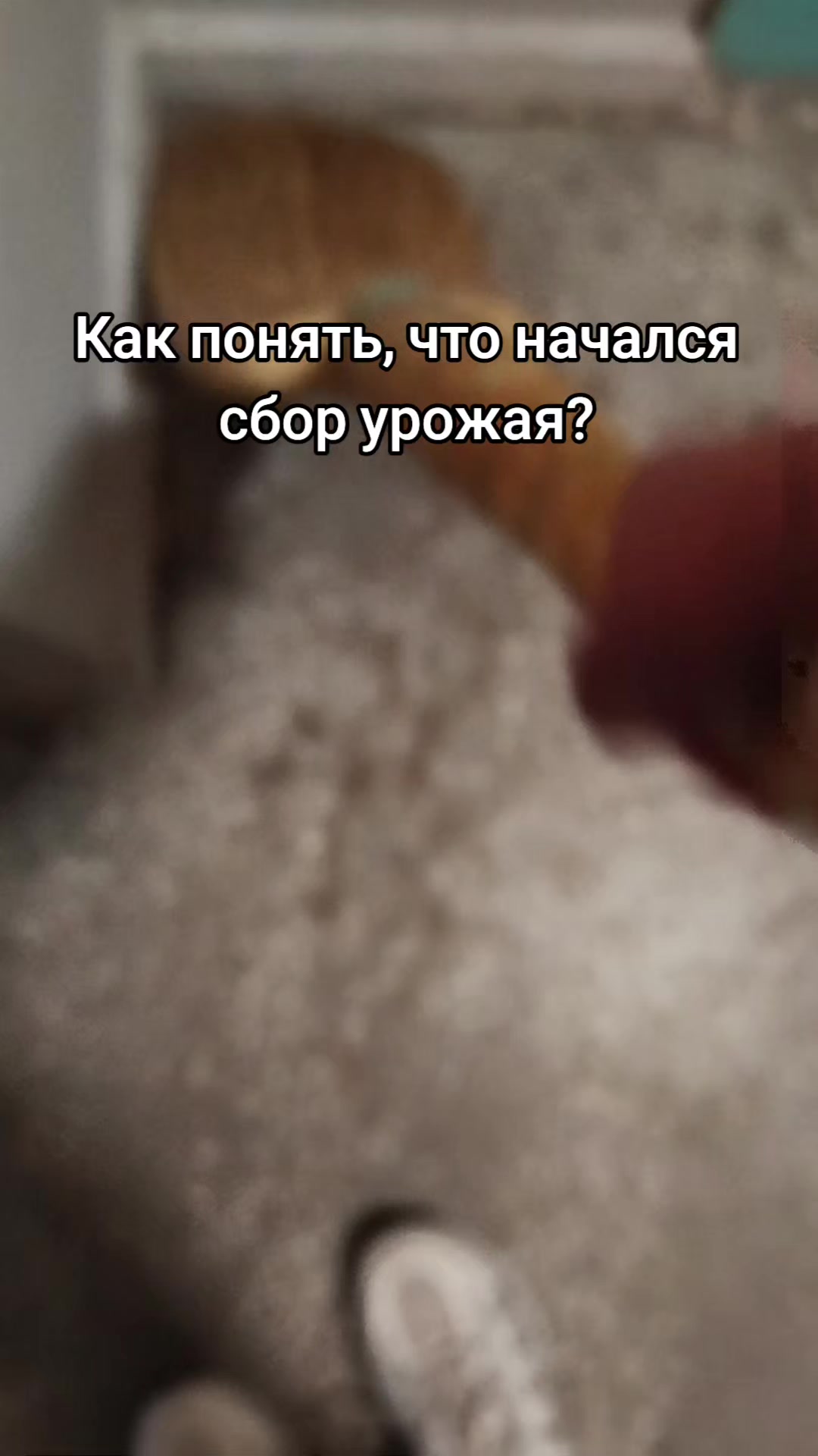 @Ирина