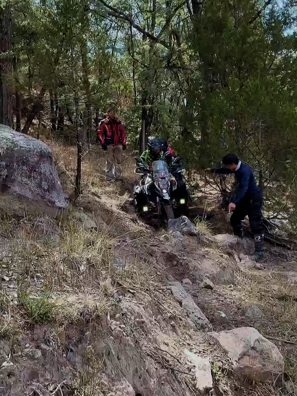 @Black Sheep Trail