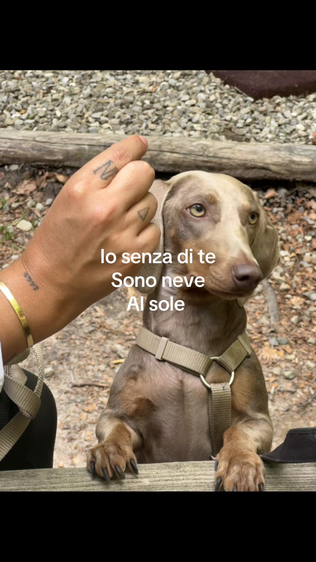 @Noemi Volta