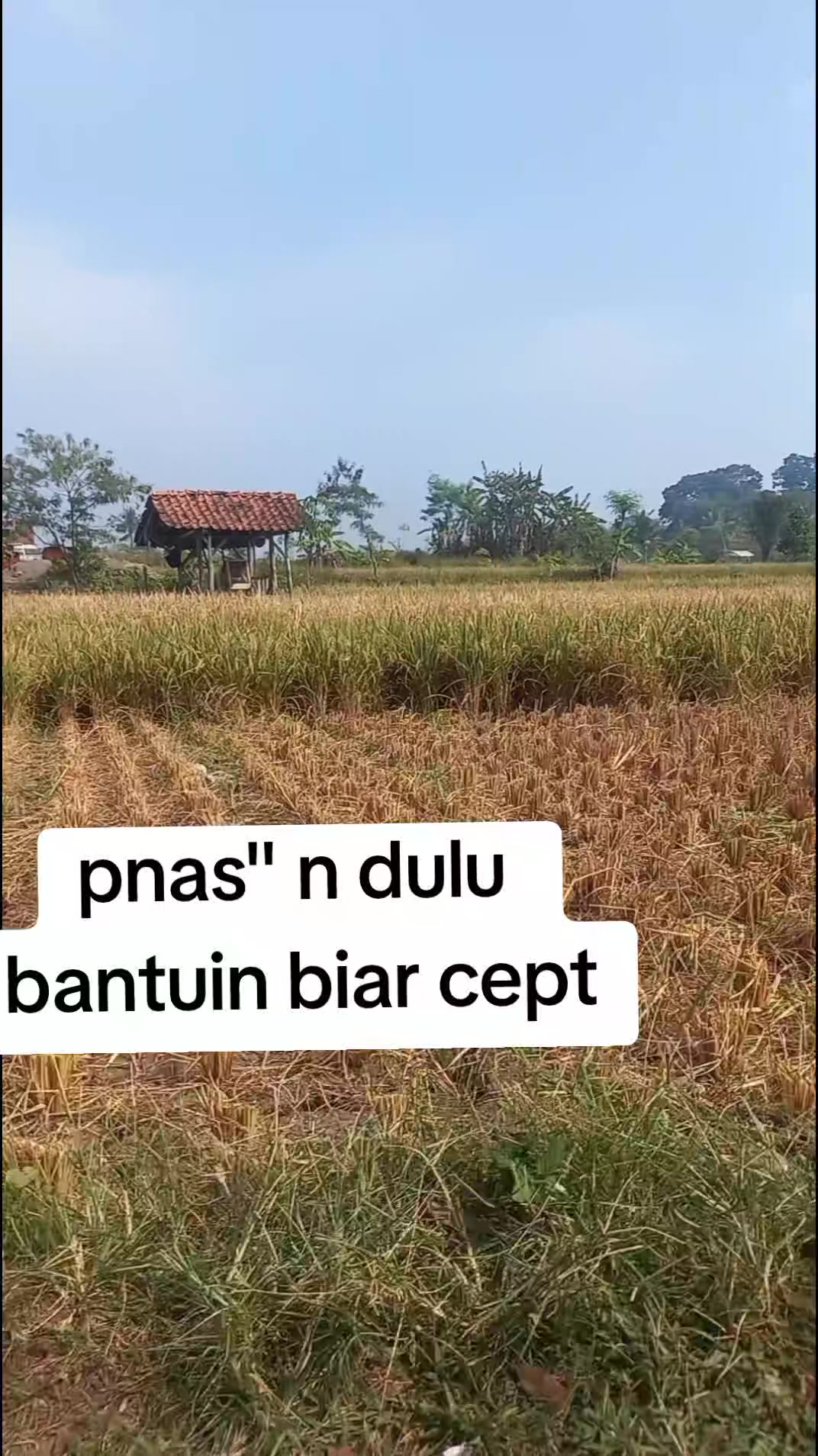 @@inisialD