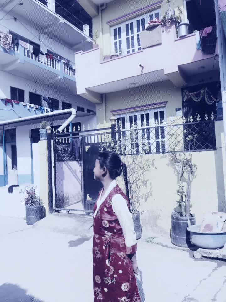 @pabitra ❤️🌺