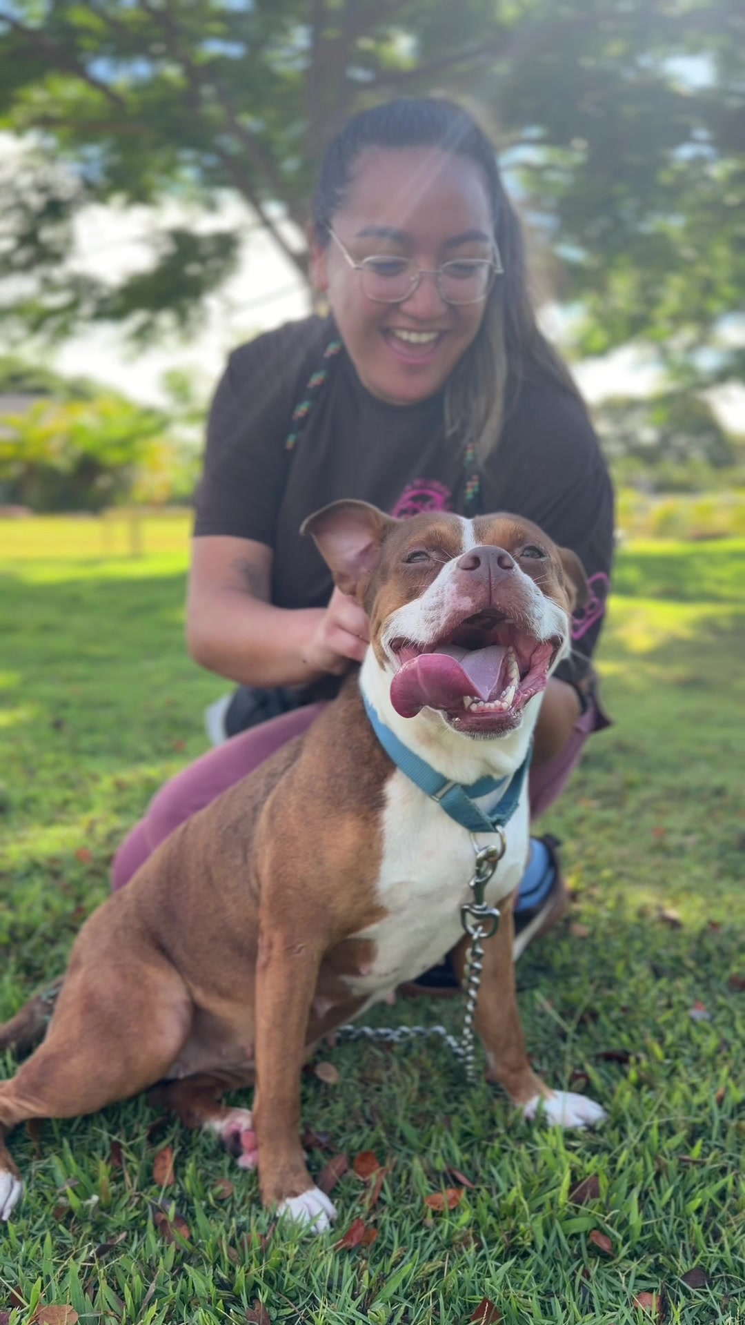 @Hawaiian Humane Society