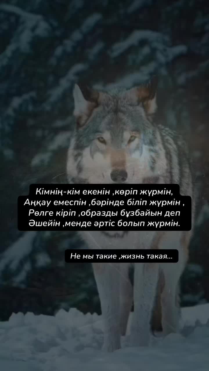 @Рахым Әбутәліп