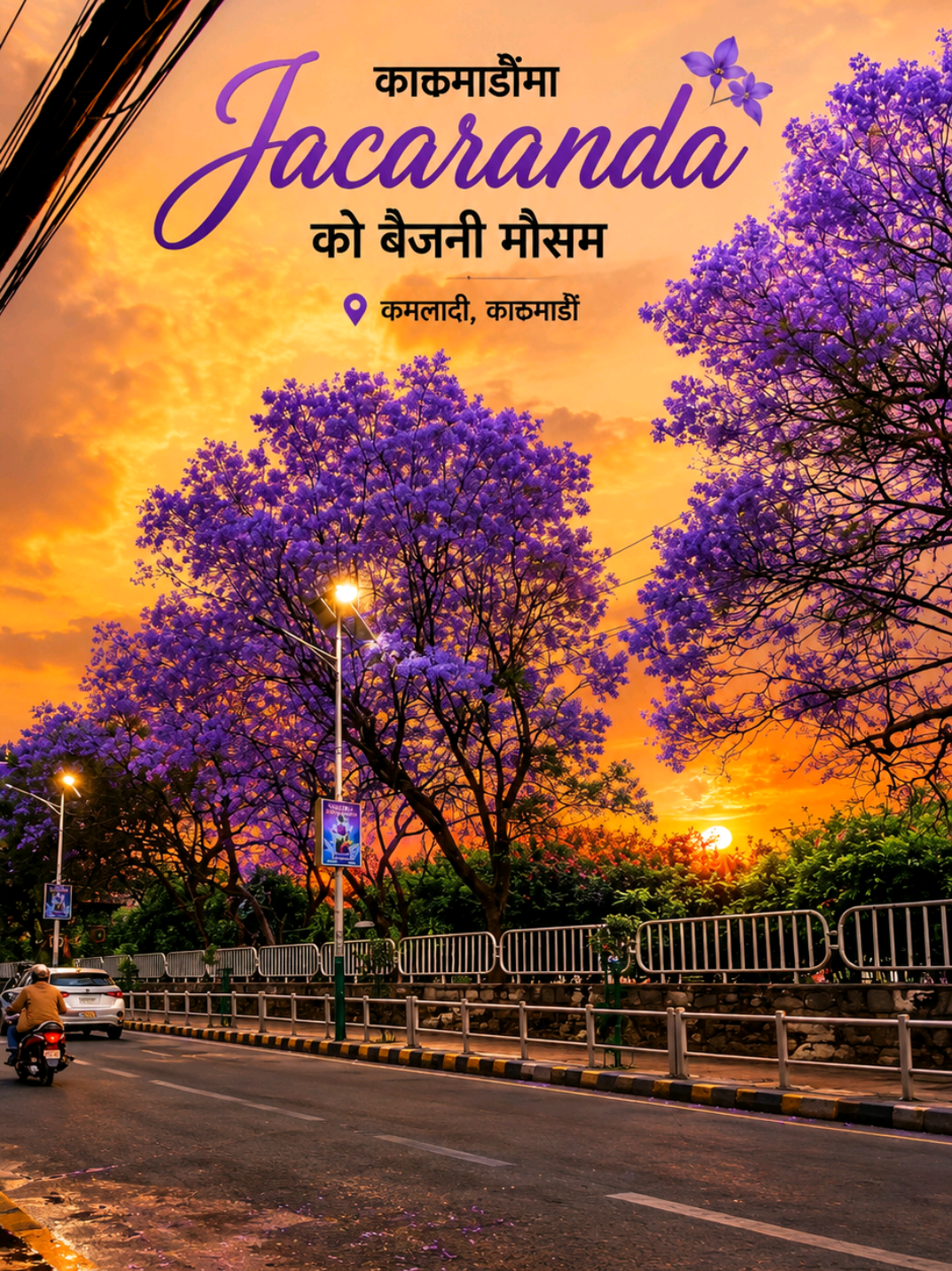 @𝗔𝗺𝘂 𝗦𝗵𝗮𝗸𝘆𝗮