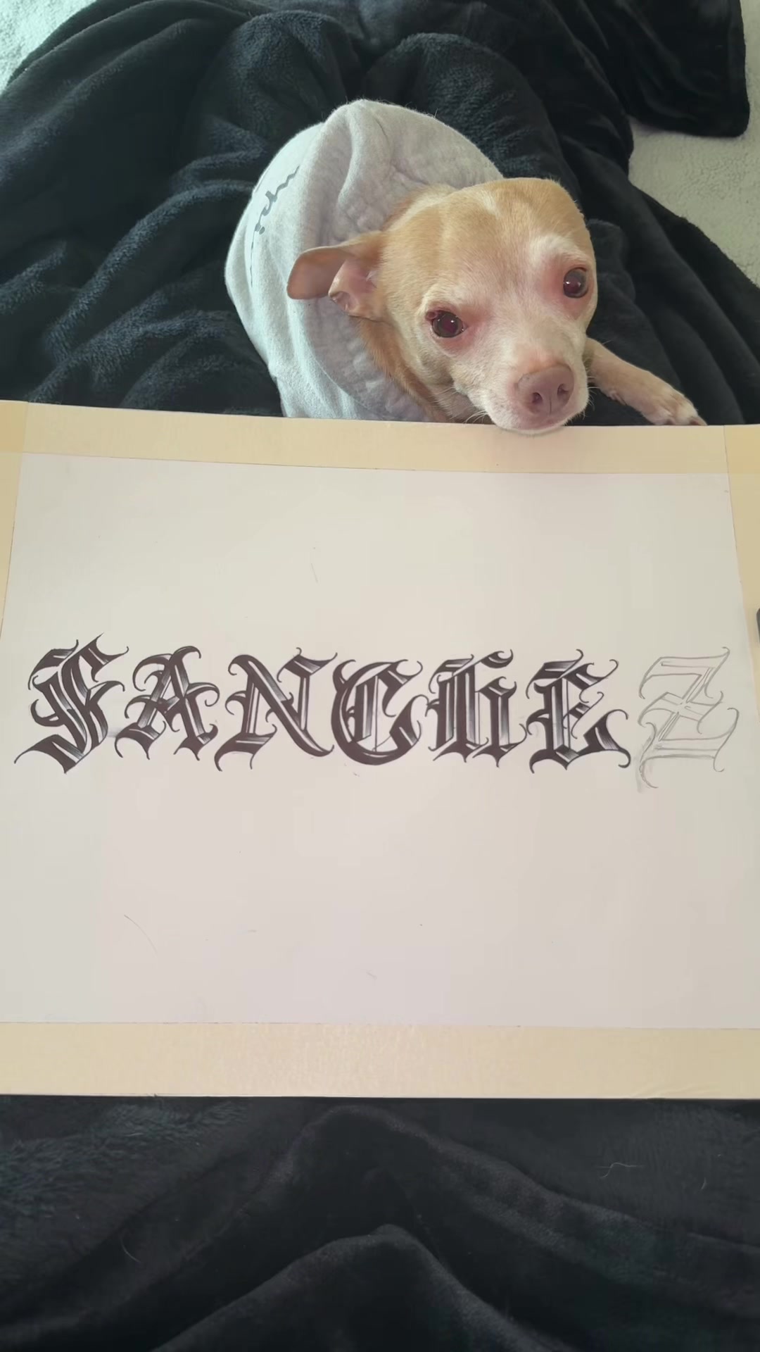 @𝕽𝖔𝖘𝖆