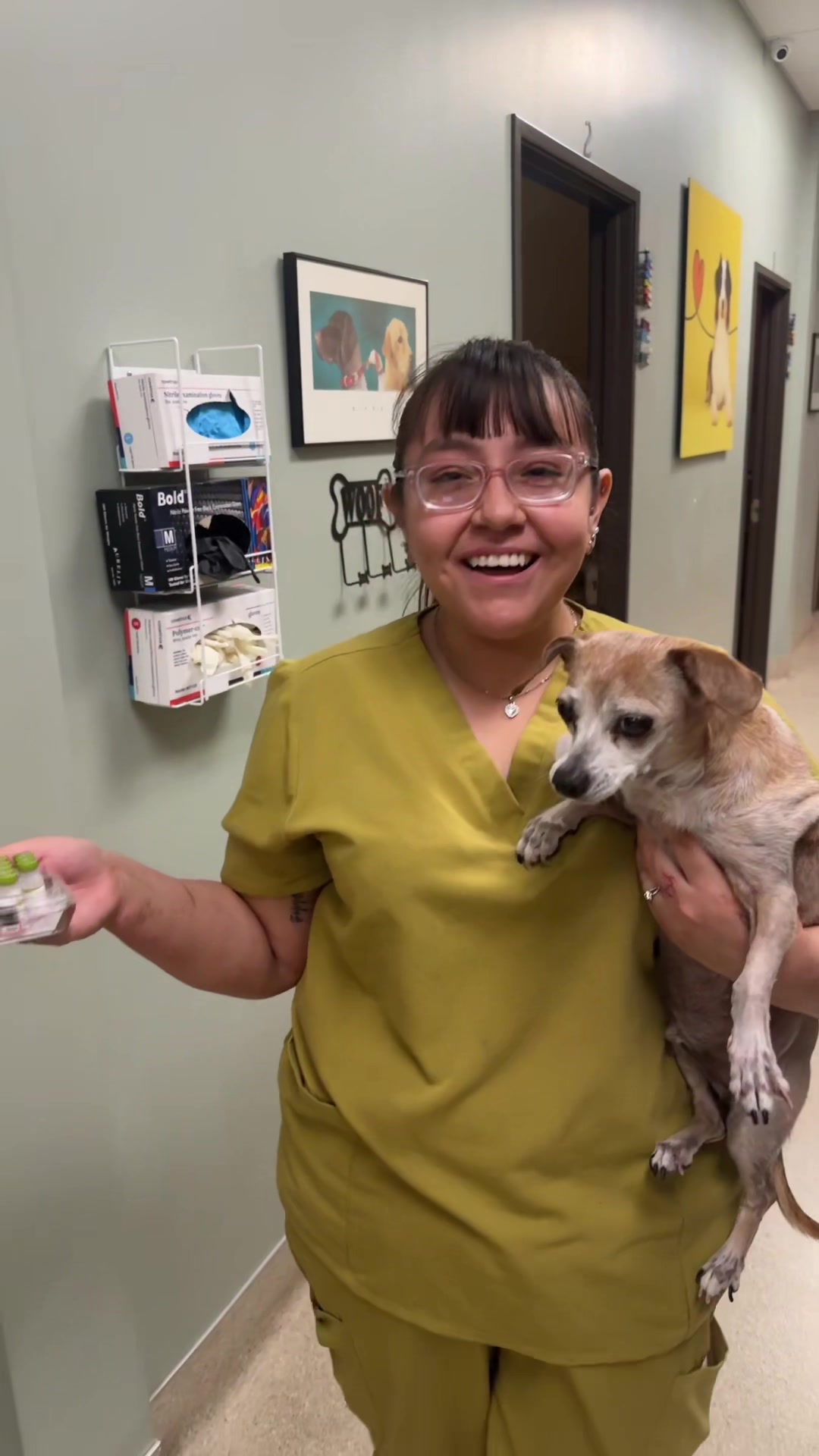 @Dreaming Summit Animal Hosp
