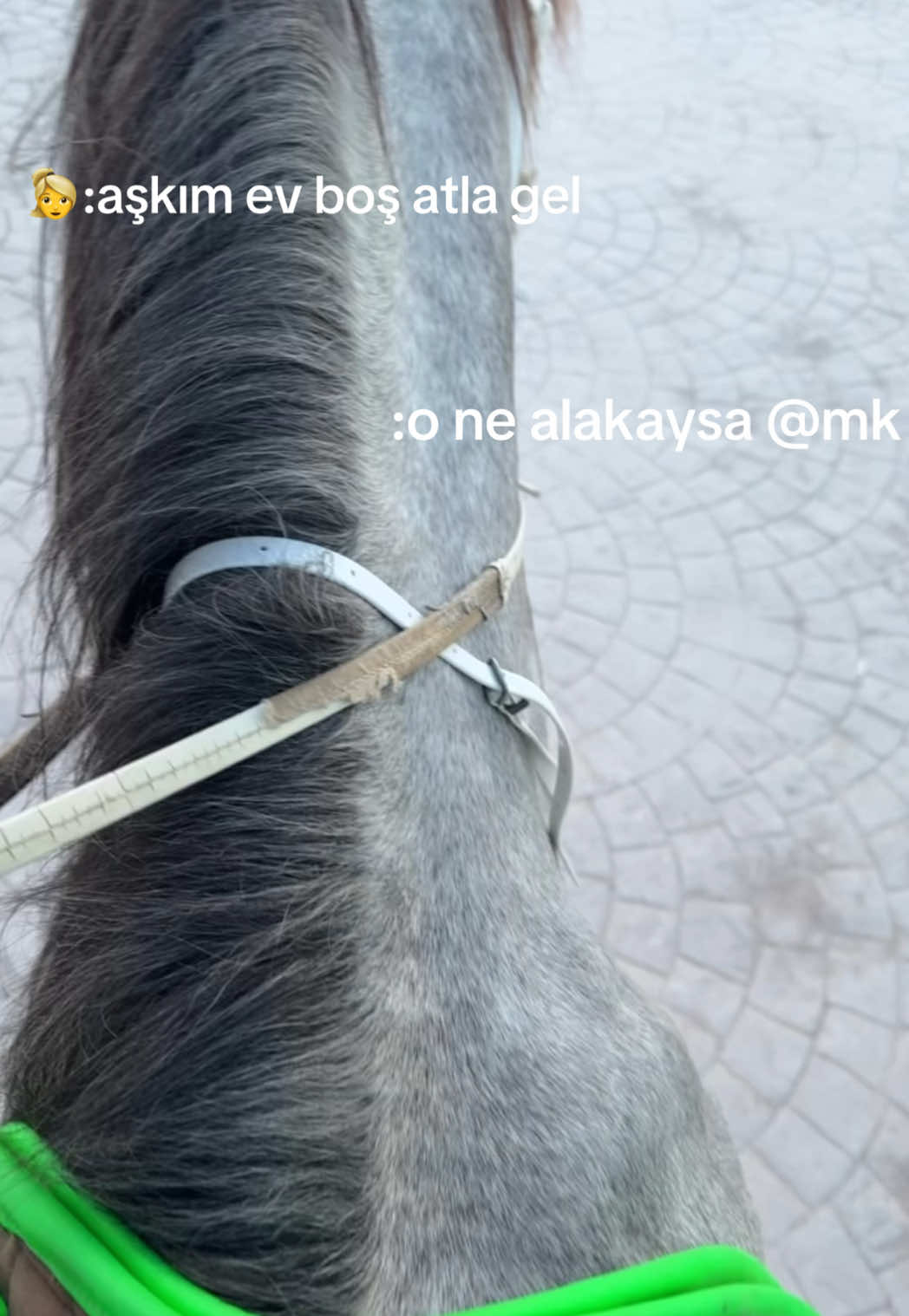 @demirbaspnr