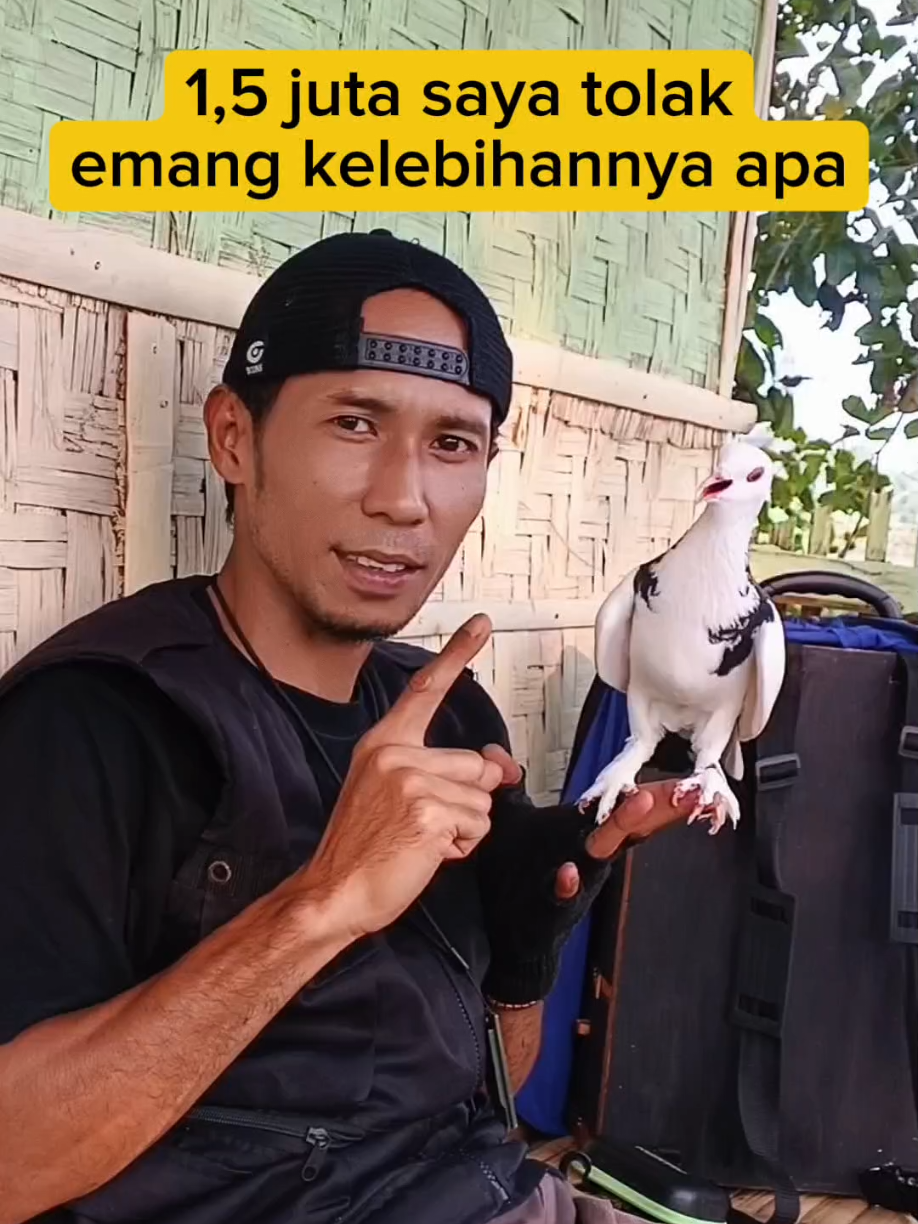 @BANG LEYON