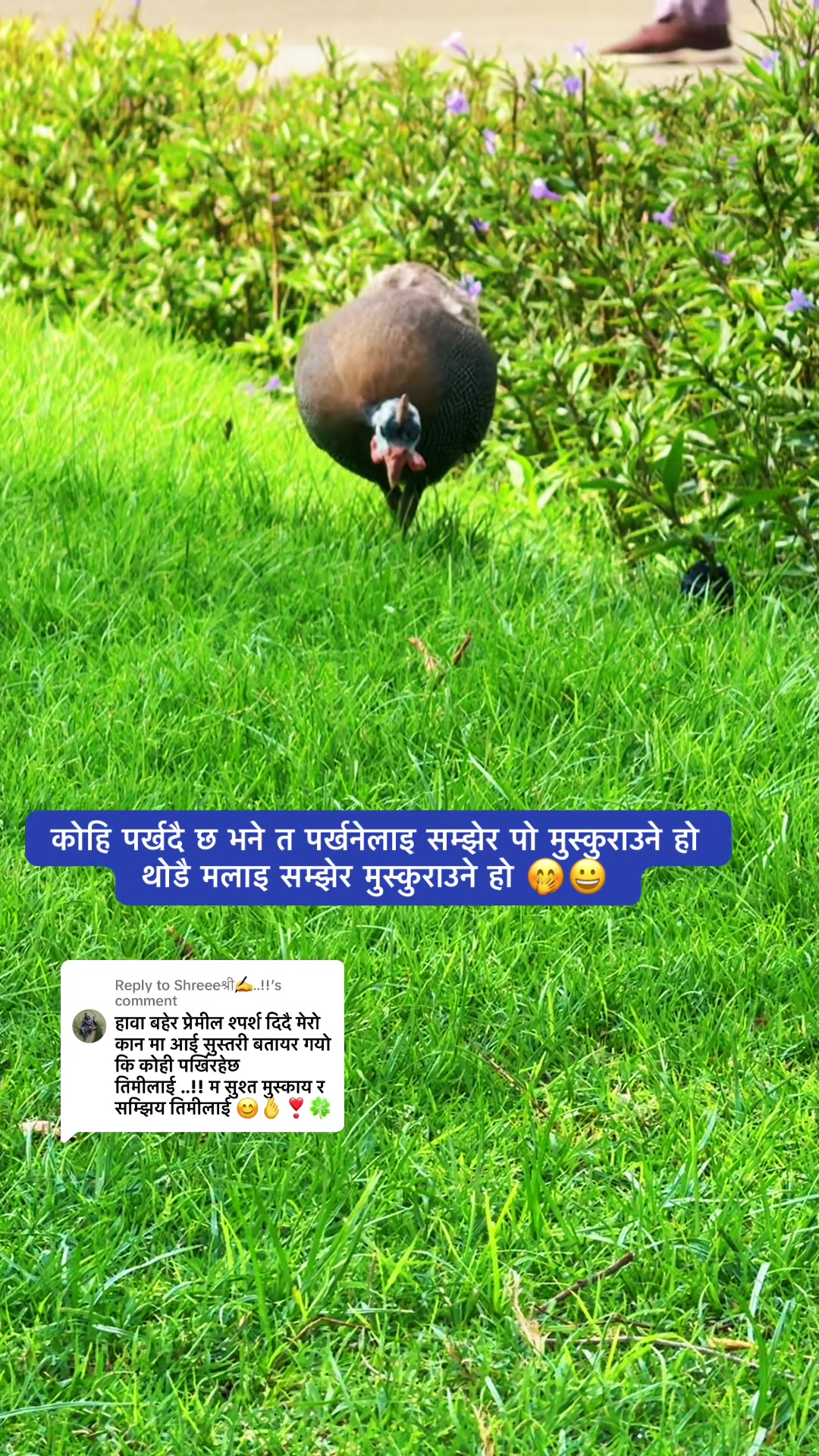@🌿श्रीशब्द….✍️🕊️🍁🍂
