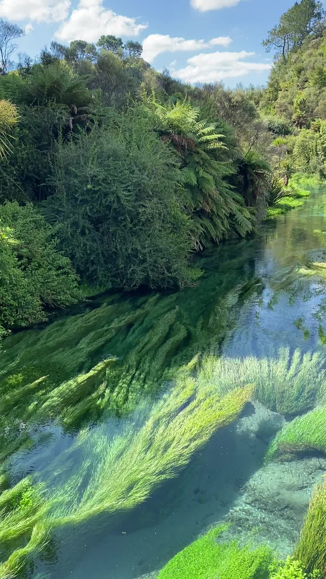 @Maia