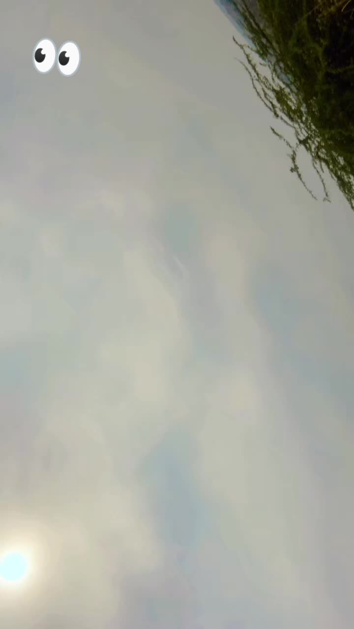 @꧁༺༒〖&deg;𝕤𝕠𝕙𝕒𝕚𝕝&deg;〗༒༻꧂