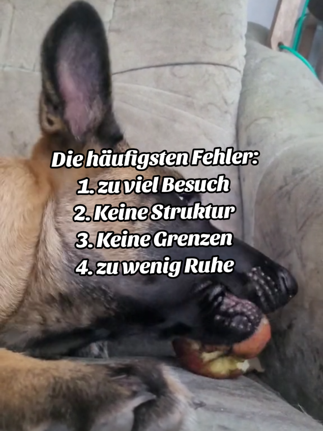 @Malinoirist Bootcamp