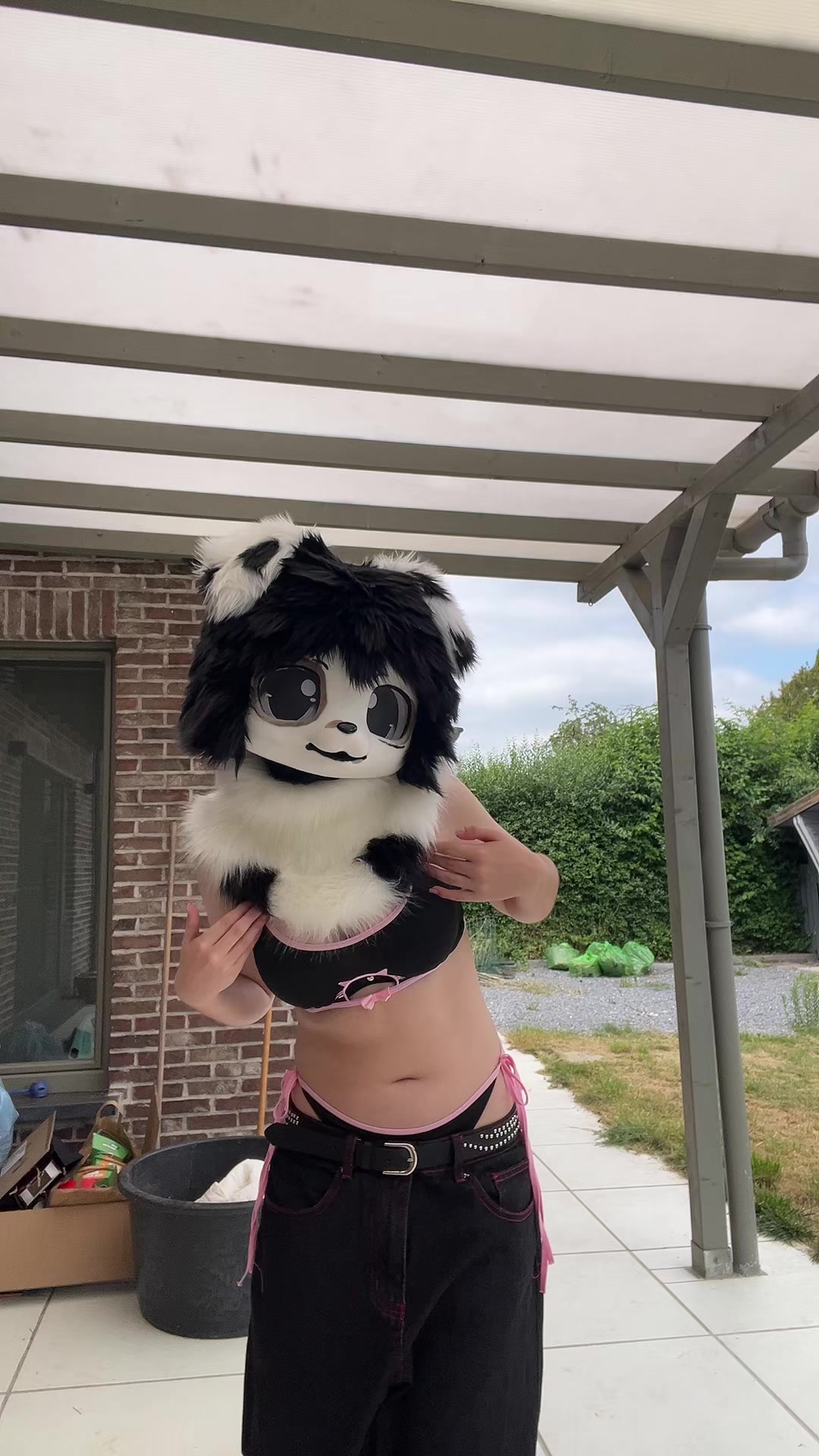 @🐾koddyyyyy🐾