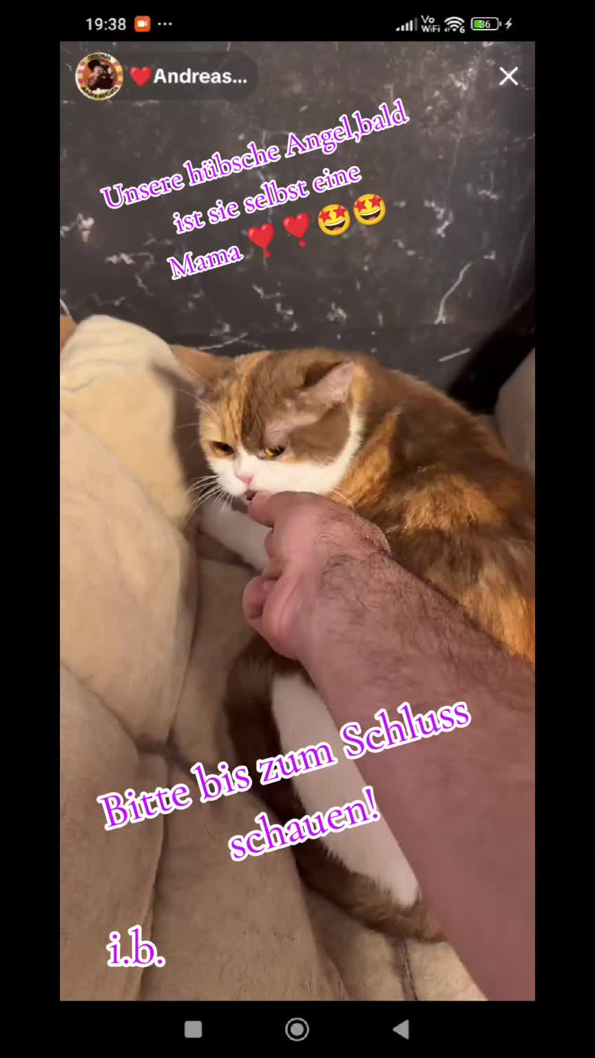 @ines (Miss Marple)❤️T❤️ACats❤️