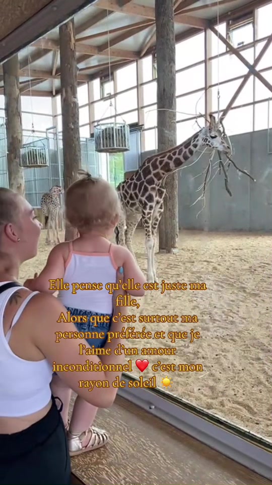 @mxva