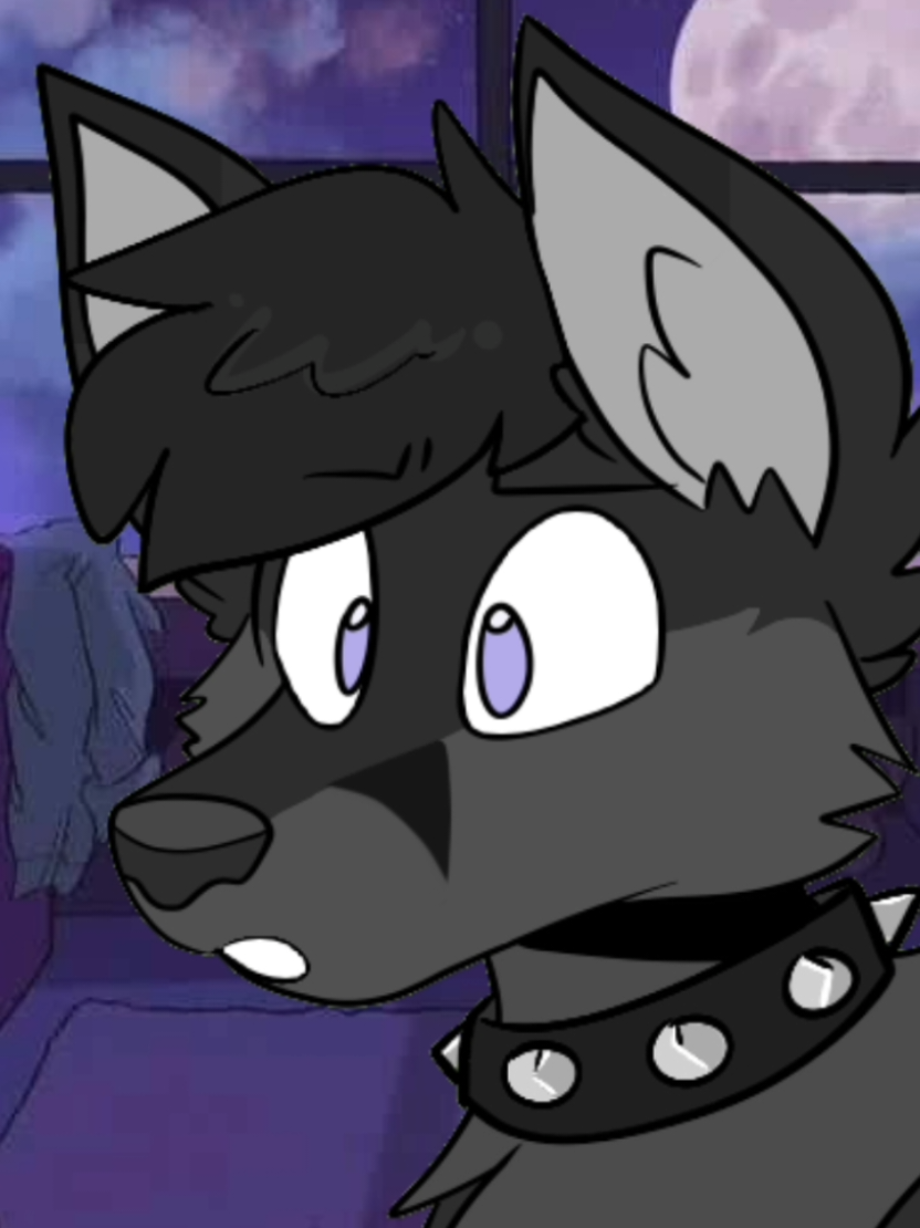 @💜Foxer🖤