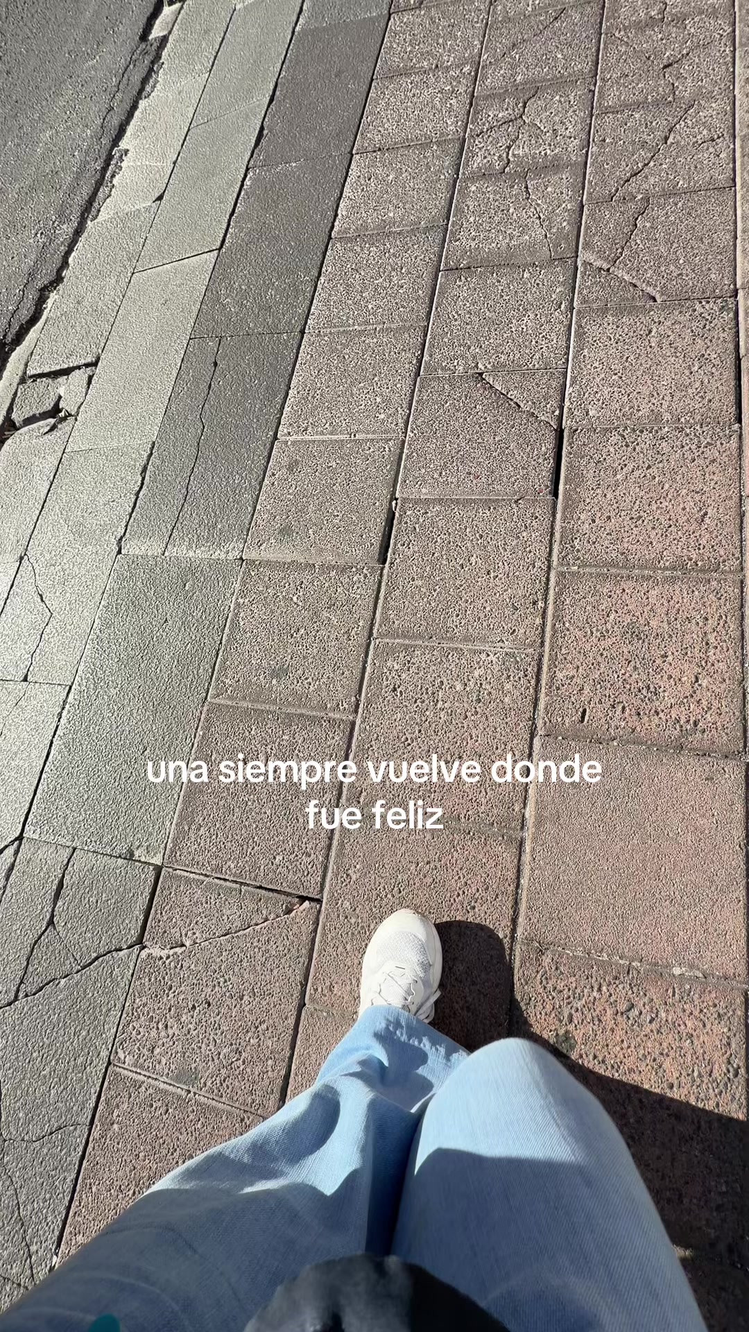 @Catalina Mendoza