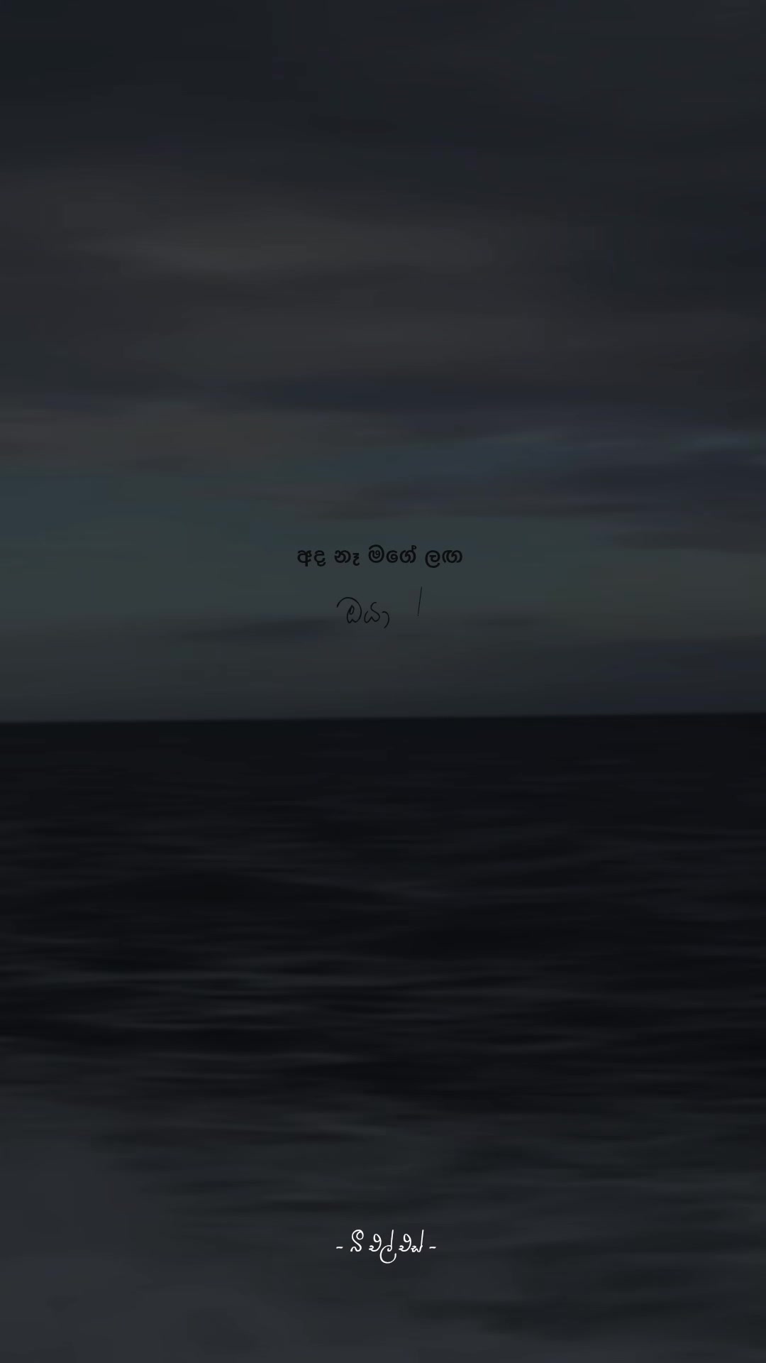 @𝒯𝒽𝑒 𝐵𝓁𝓈 ♡ !