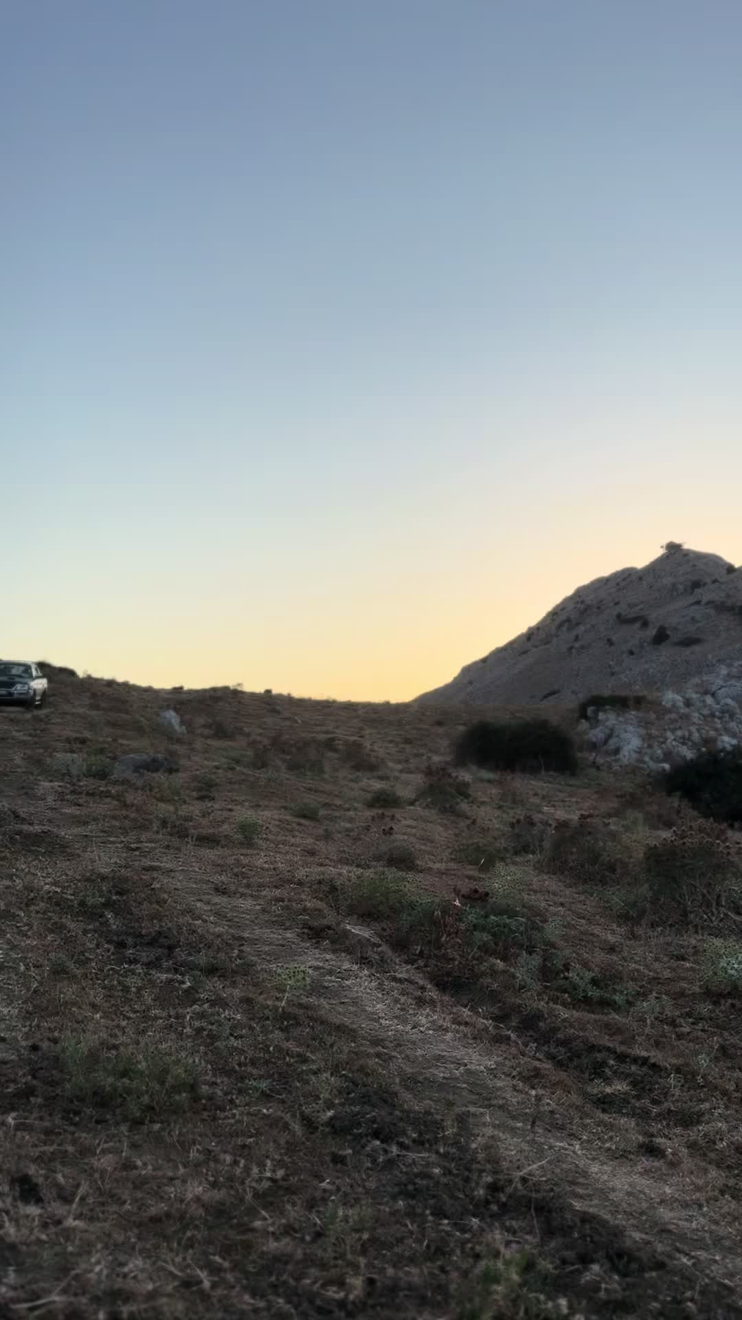 @BADALAMENTI|allevamenti