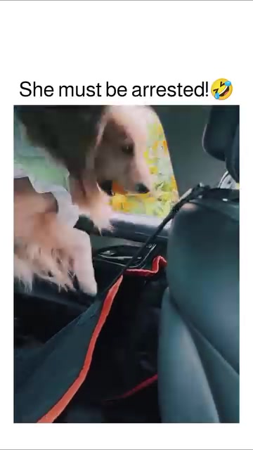 @Explore_with_zzz