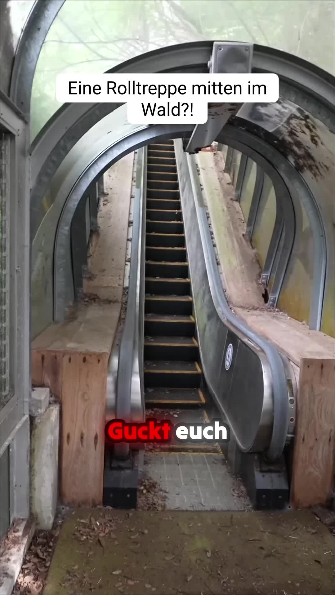 @HorrorPlace_E