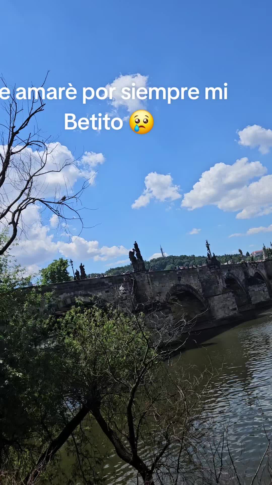 @ciccio.B♡