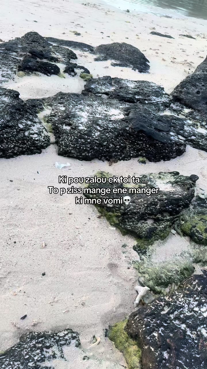 @&bull;𝒮𝒽𝒶𝓎🦋