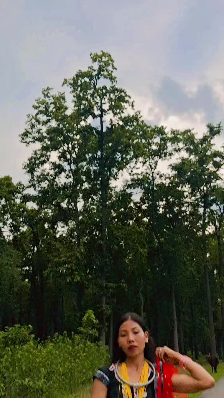 @🦚