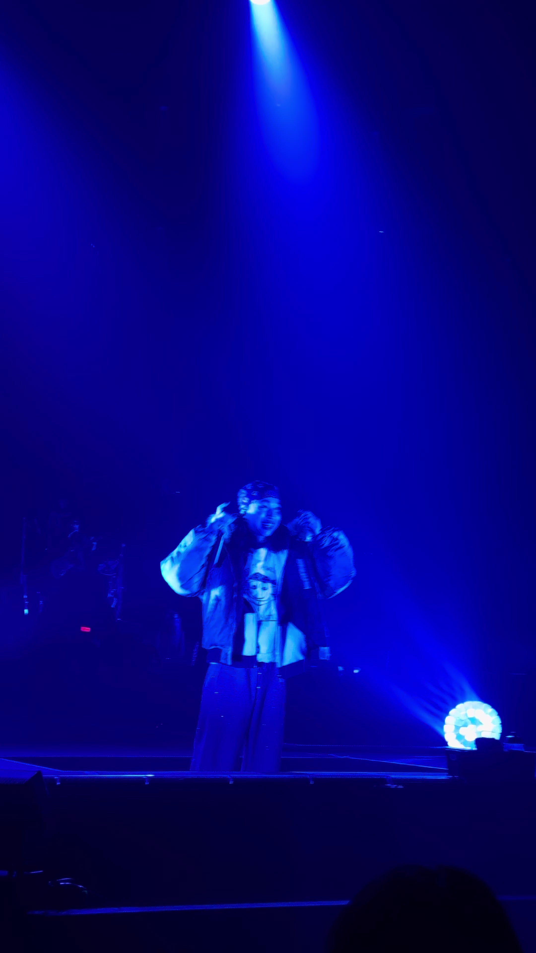 @🐬