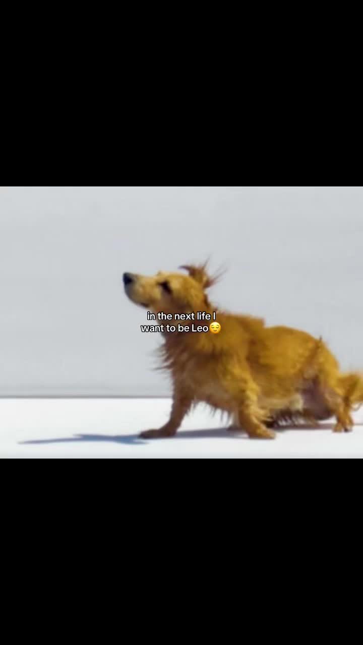 @🩷🦢¹⁶