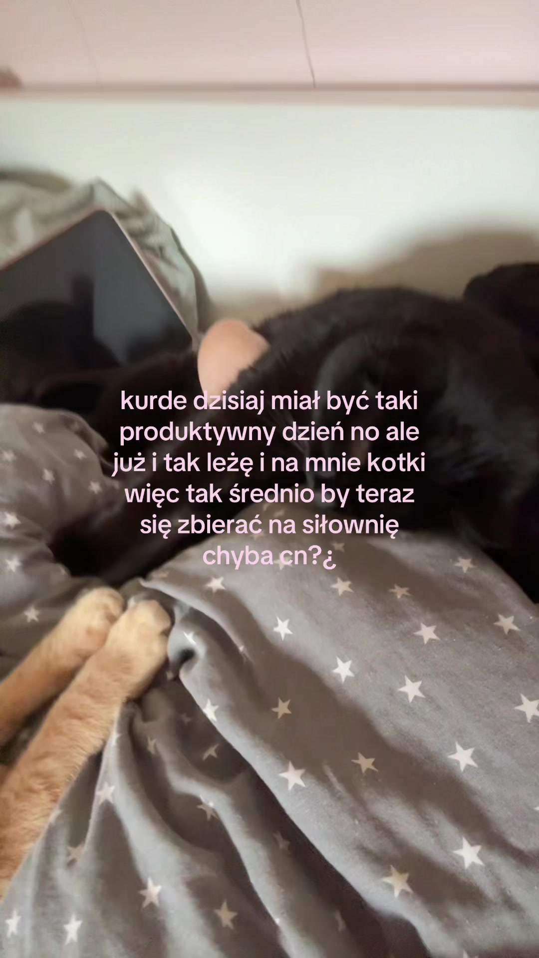 @marysia